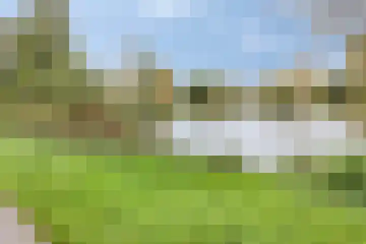 Orionstraat 57 Eindhoven thumbnail 39