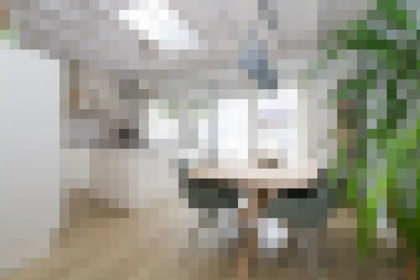 Orionstraat 8 Rockanje thumbnail 4