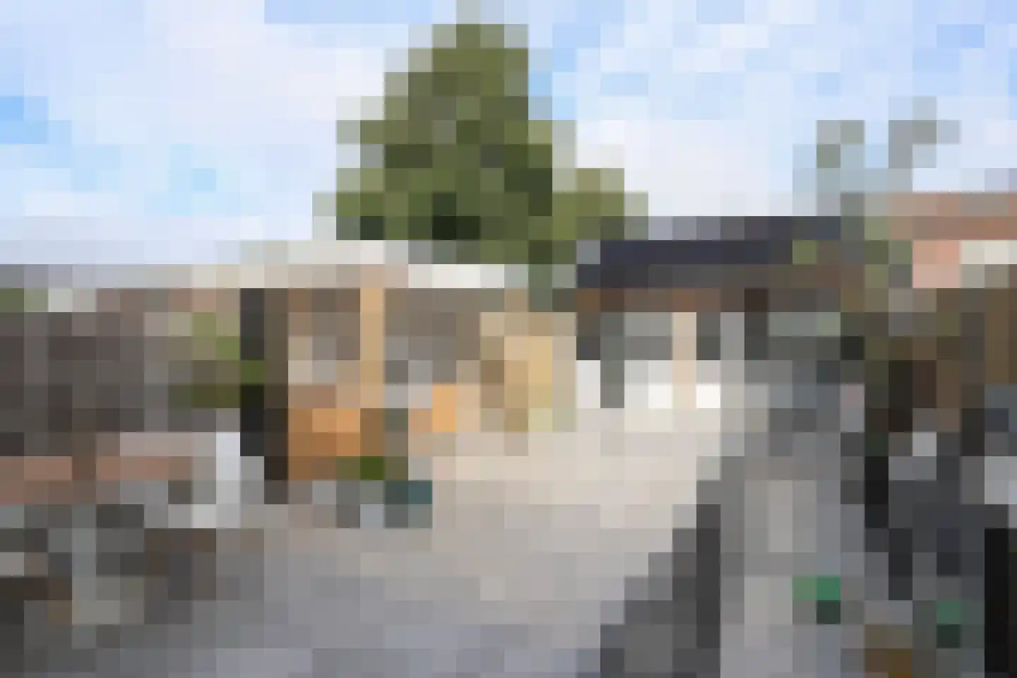 Orionstraat 8 Rockanje thumbnail 41