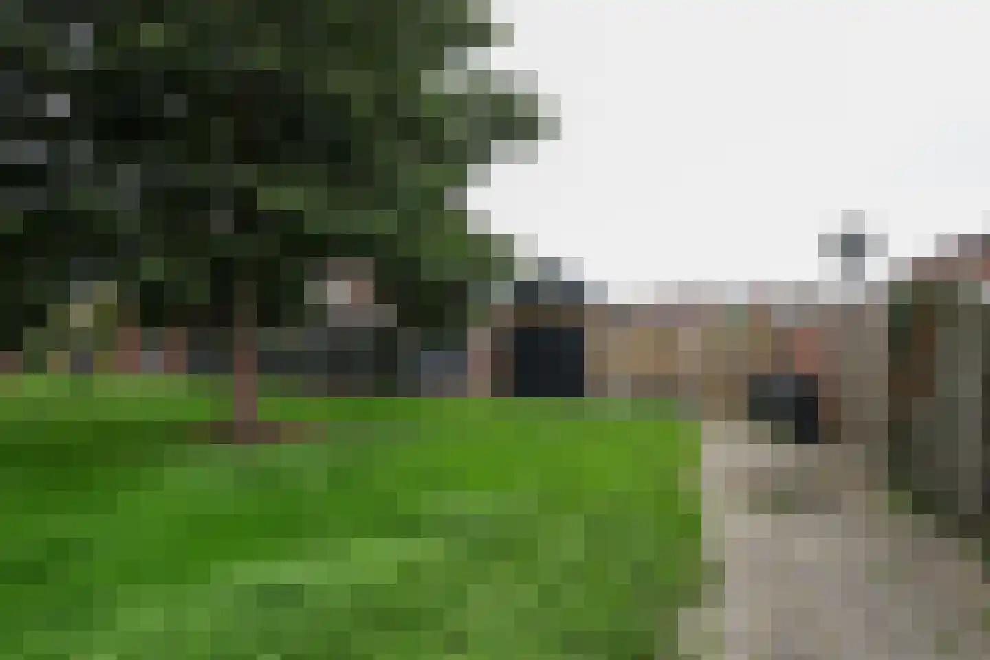Orionstraat 8 Rockanje thumbnail 47