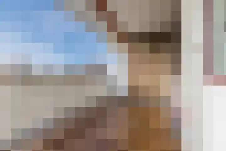Orionstraat 81 Eindhoven thumbnail 10