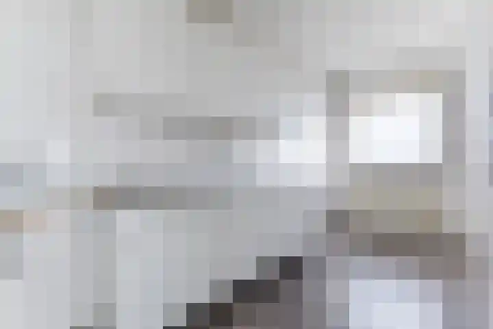 Orionstraat 81 Eindhoven thumbnail 17