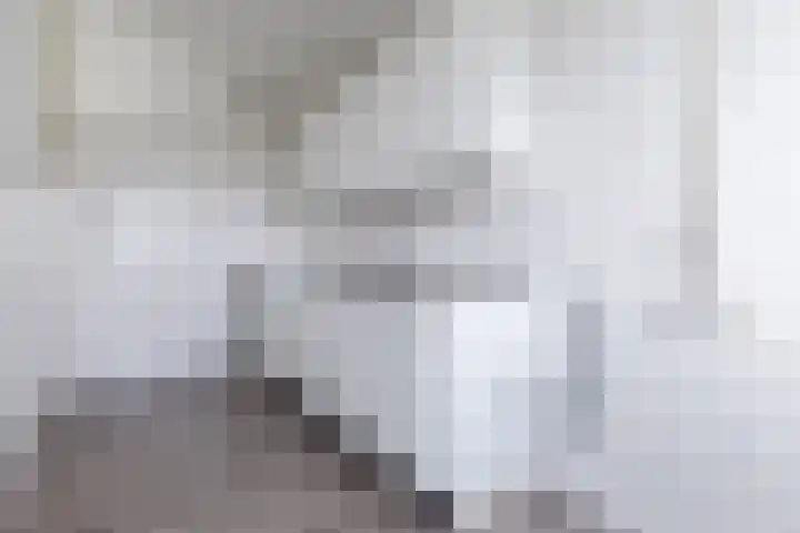 Orionstraat 81 Eindhoven thumbnail 18