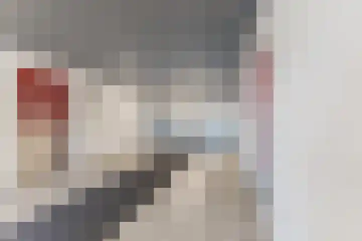 Orionstraat 81 Eindhoven thumbnail 26