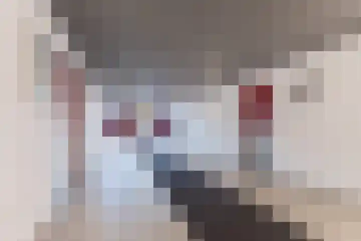 Orionstraat 81 Eindhoven thumbnail 27