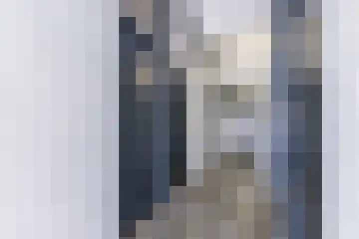 Orionstraat 81 Eindhoven thumbnail 28