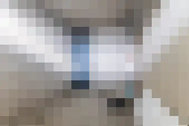 Orionstraat 81 Eindhoven thumbnail 29