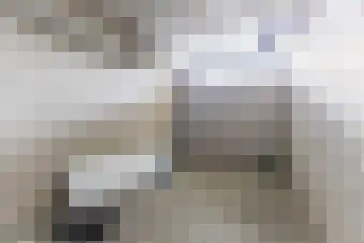 Orionstraat 81 Eindhoven thumbnail 30