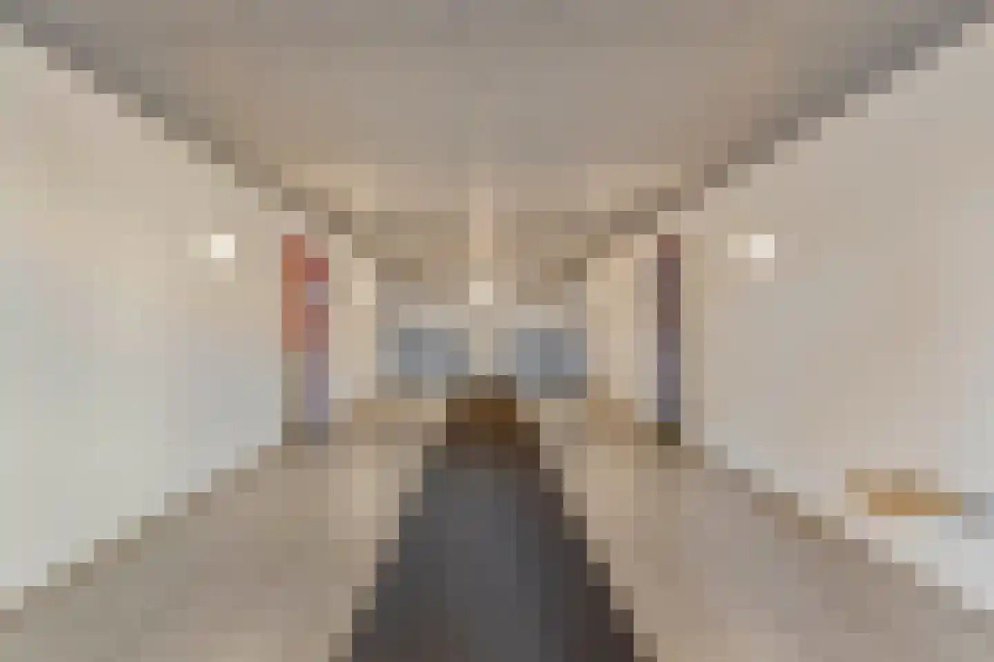 Orionstraat 91 Eindhoven thumbnail 12