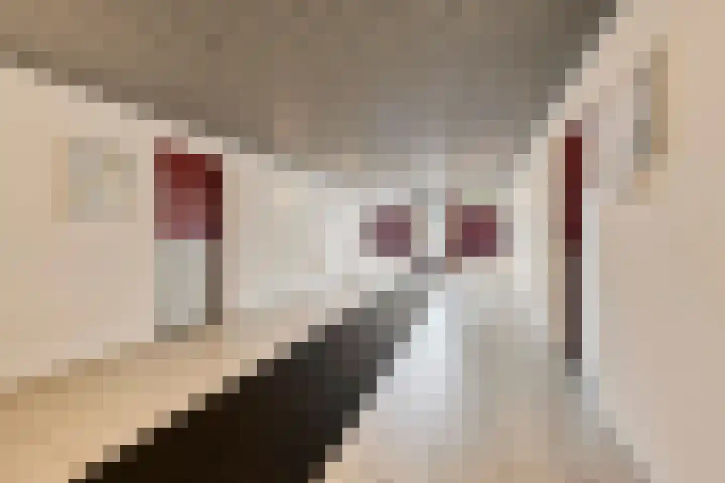 Orionstraat 97 Eindhoven thumbnail 10