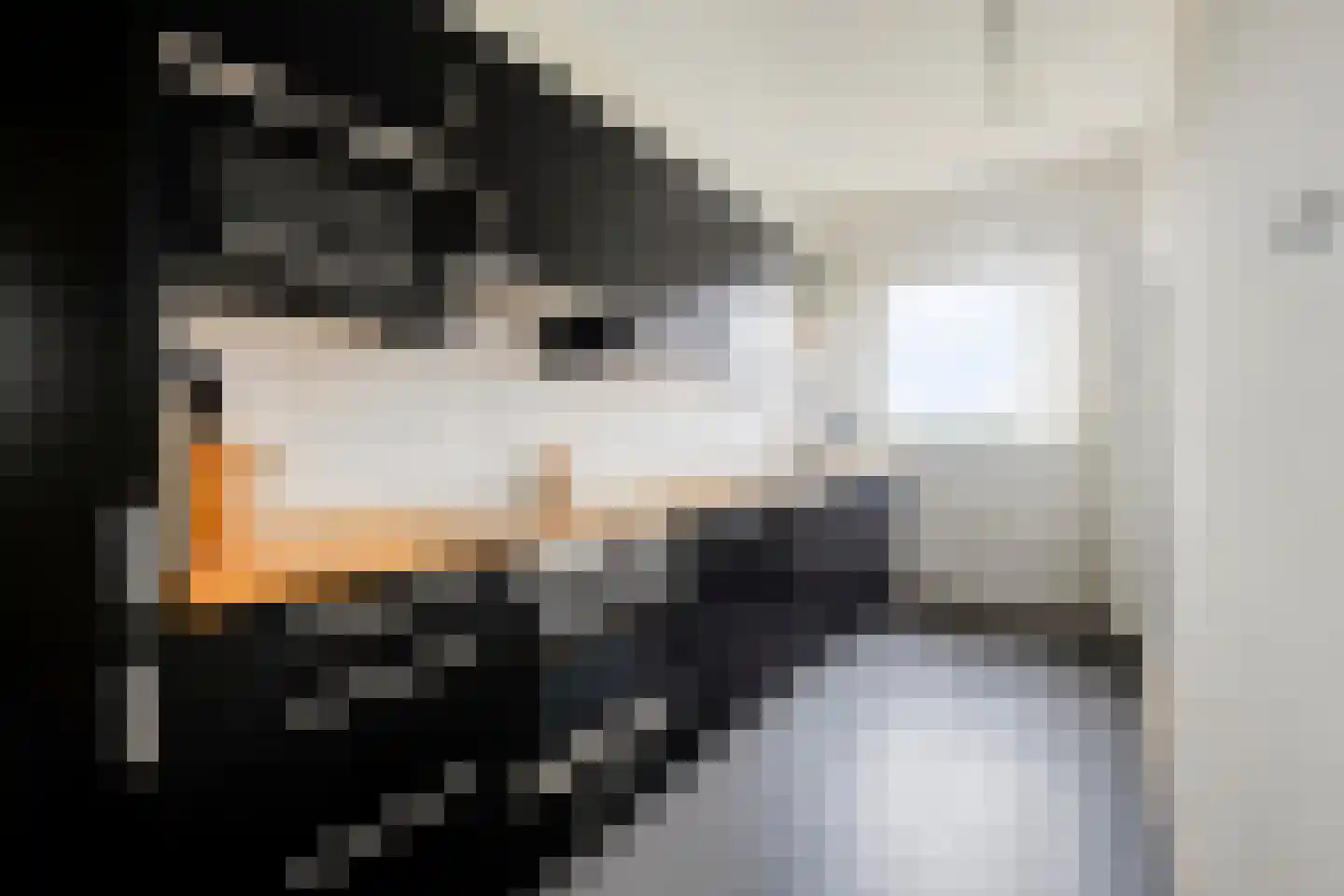 Orionstraat 97 Eindhoven thumbnail 32