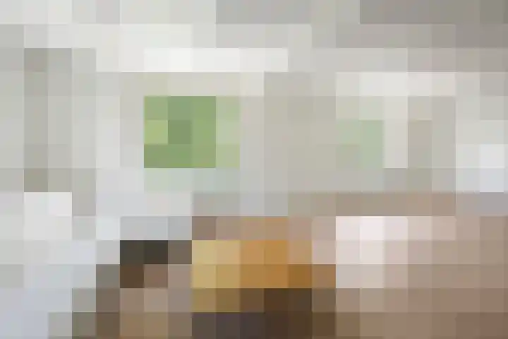 Orionweg 1 A Haarlem thumbnail 12