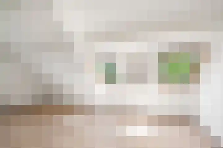 Orionweg 1 A Haarlem thumbnail 22