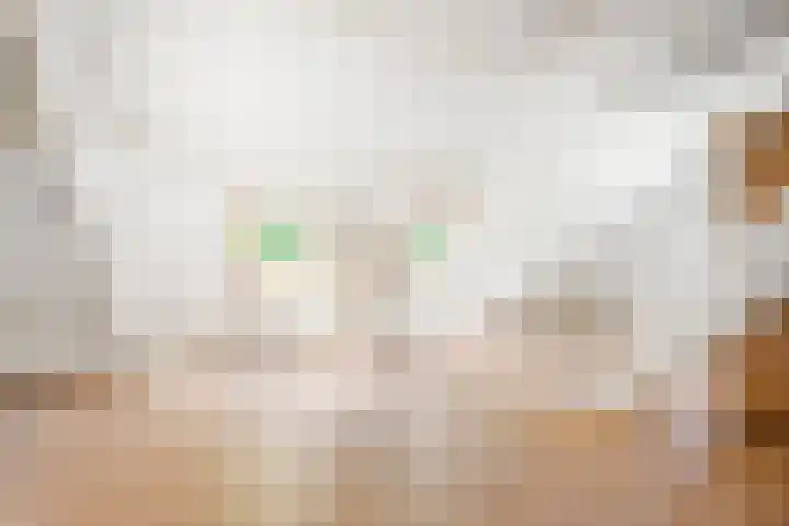Orionweg 1 A Haarlem thumbnail 27