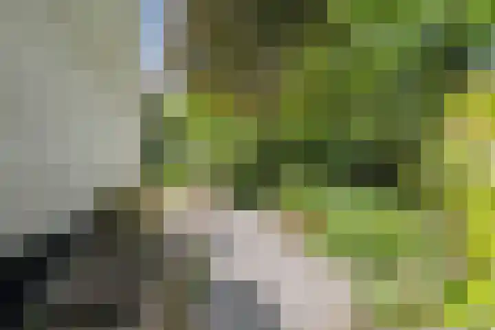 Orionweg 1 A Haarlem thumbnail 37