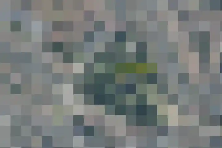 Orionweg 1 A Haarlem thumbnail 43