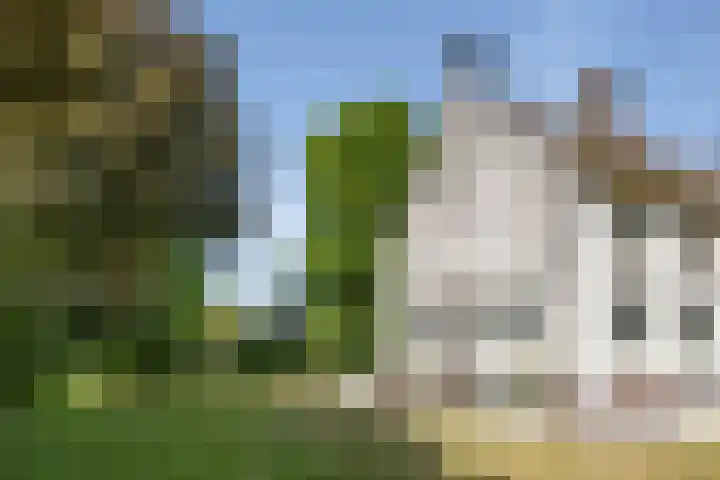 Orionweg 1 A Haarlem thumbnail 5