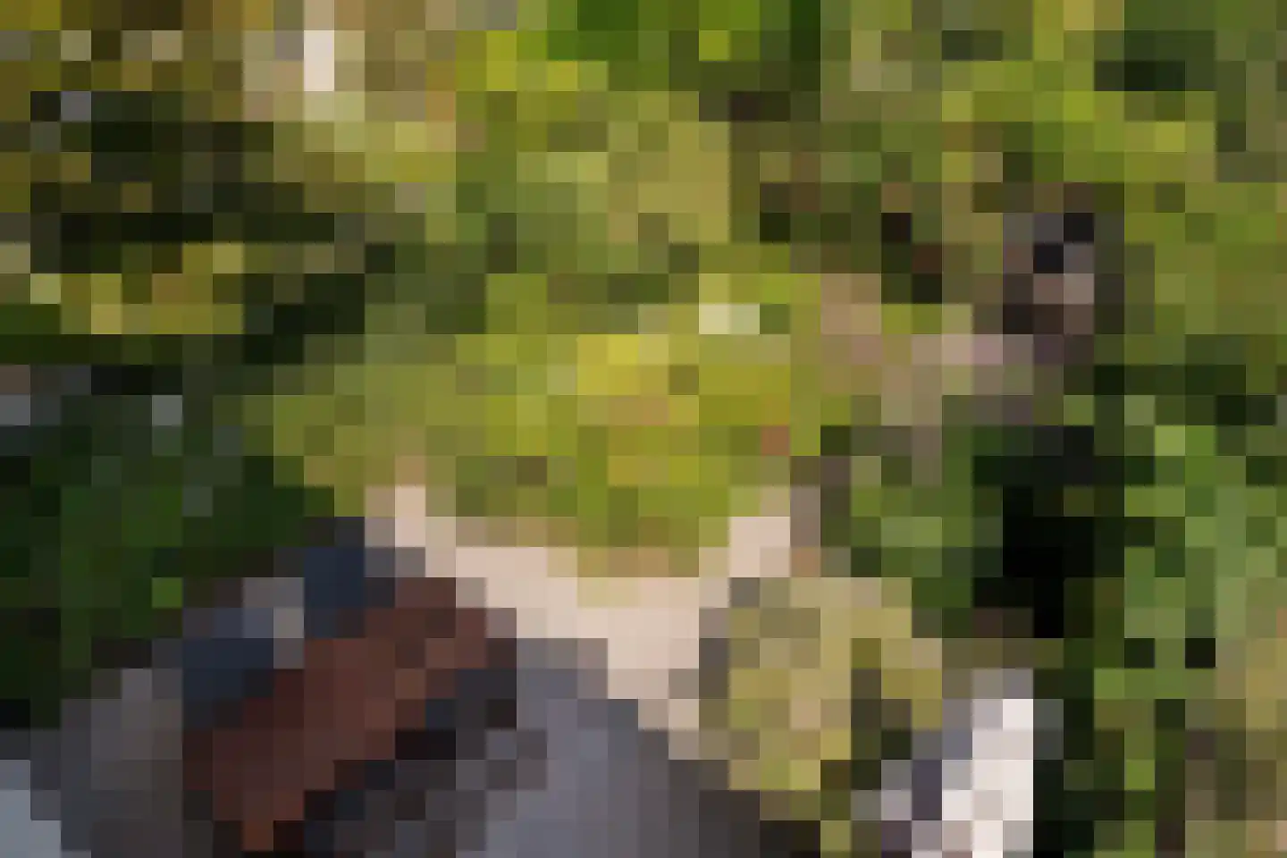 Orionweg 120 Haarlem thumbnail 37