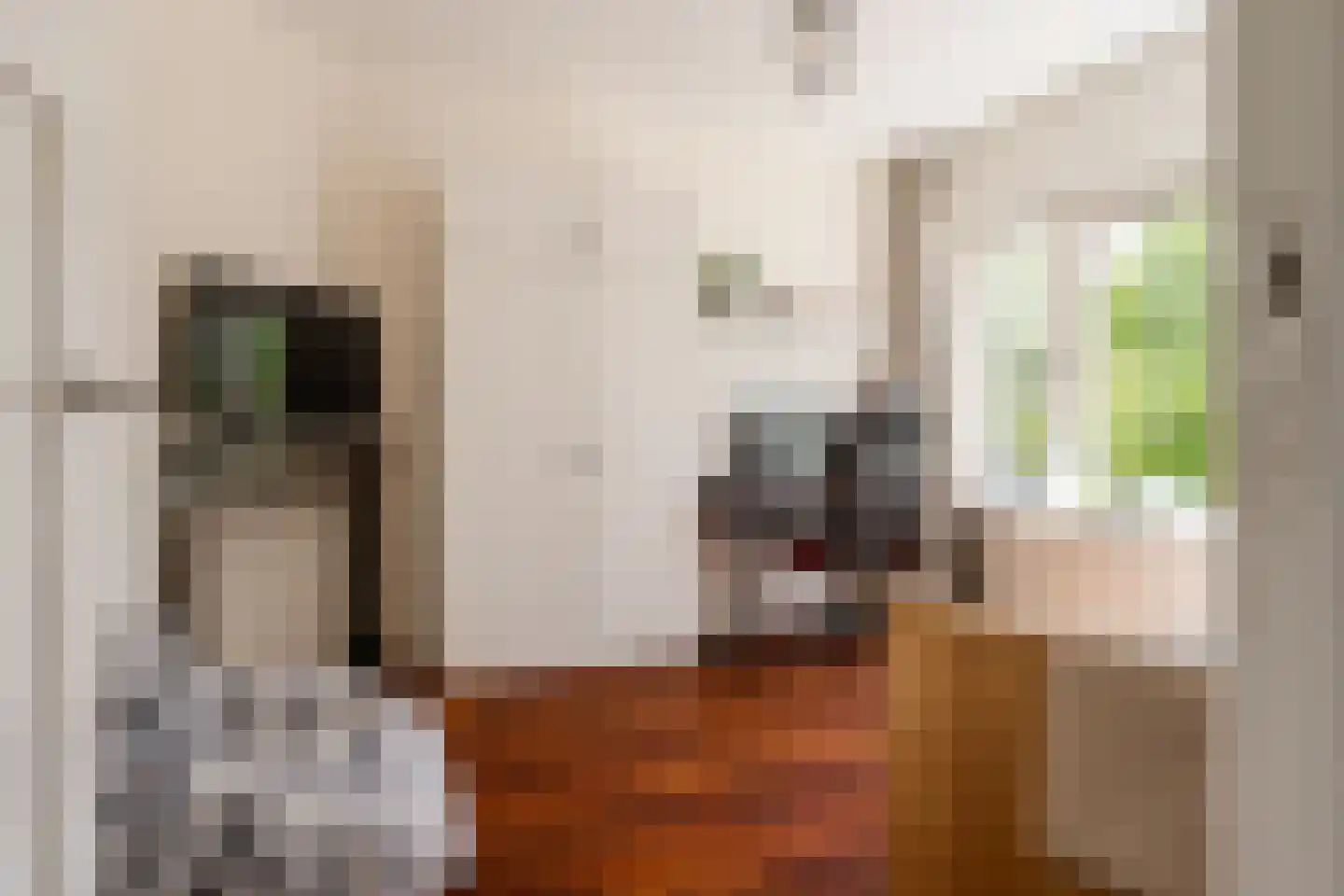 Orionweg 120 Haarlem thumbnail 39