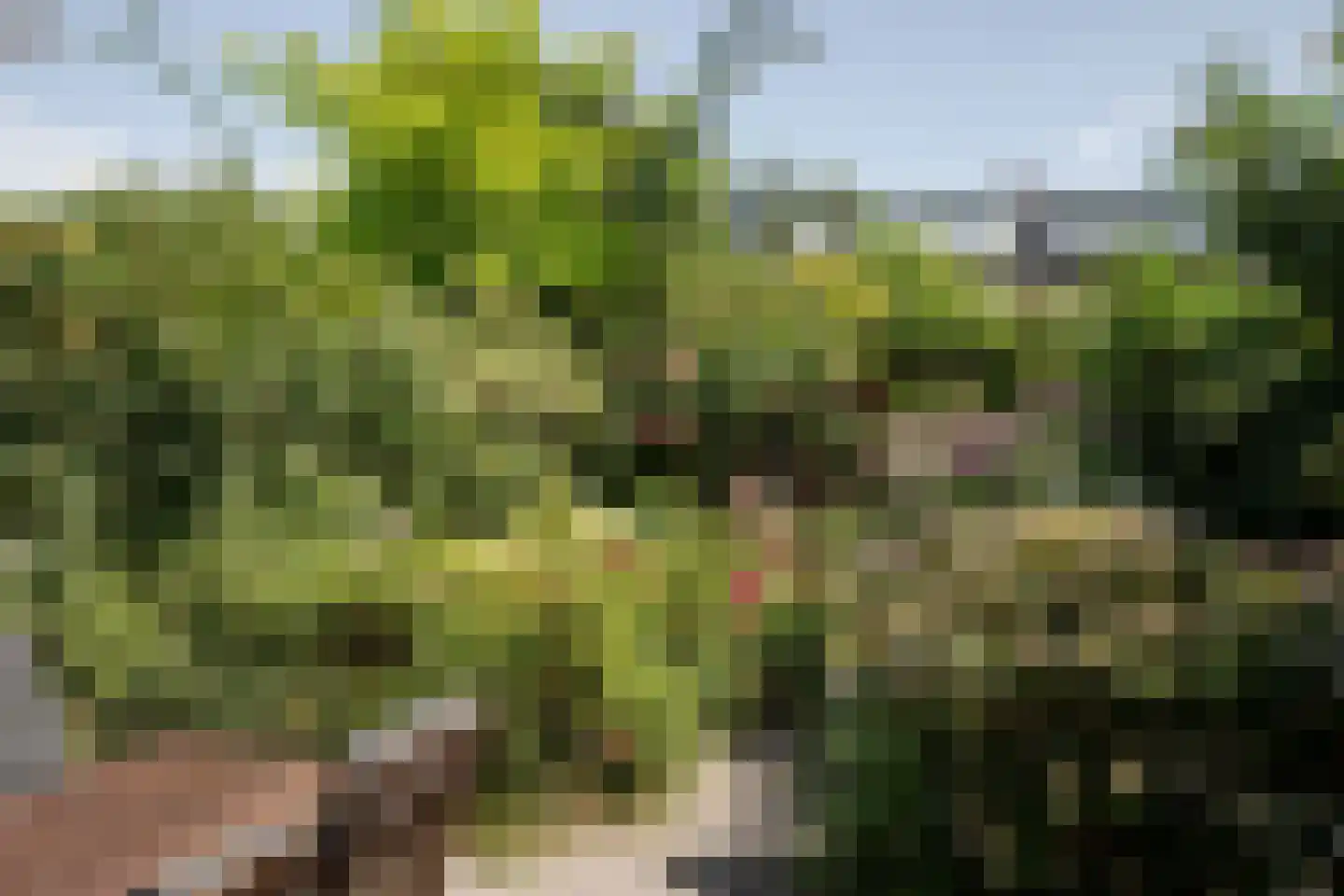 Orionweg 120 Haarlem thumbnail 4