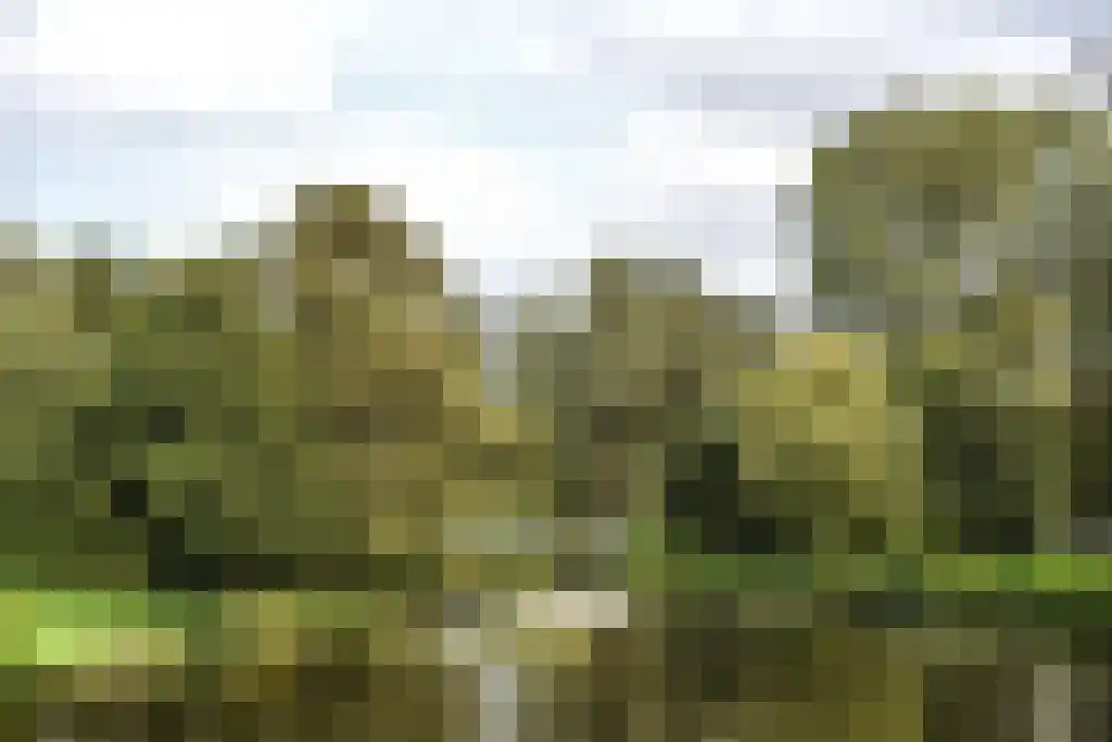 Orionweg 120 Haarlem thumbnail 54