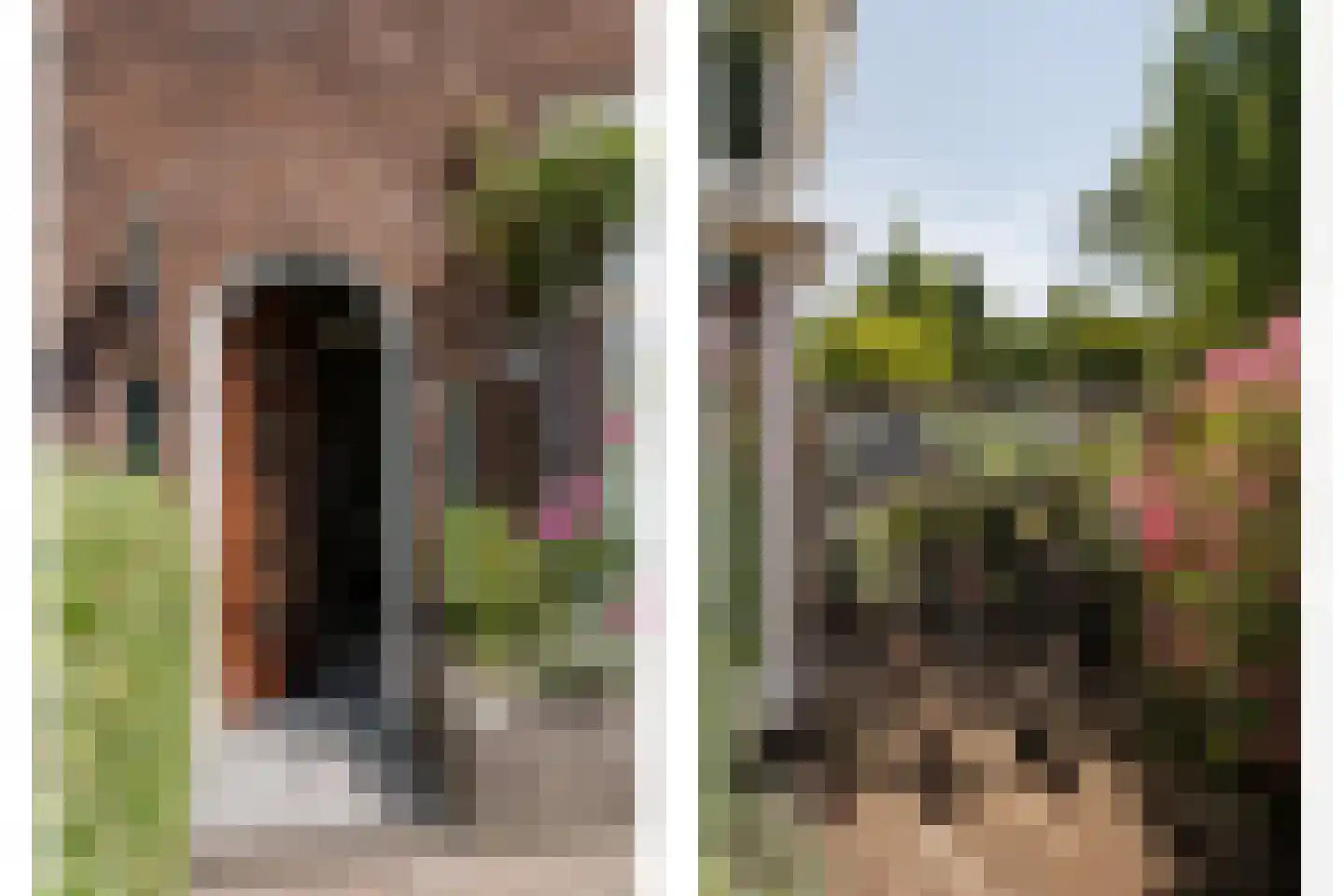 Orionweg 120 Haarlem thumbnail 6