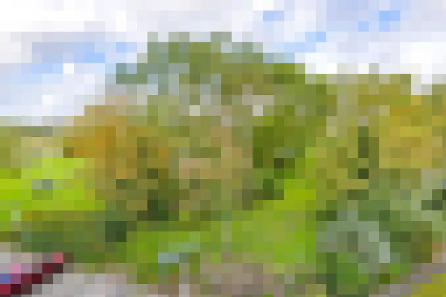 Orionweg 136 IJmuiden thumbnail 37