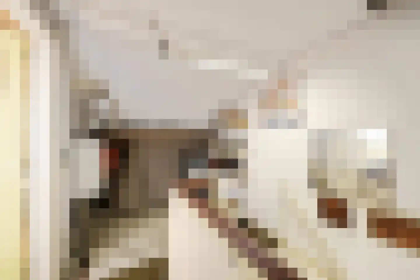 Orionweg 339 IJmuiden thumbnail 27