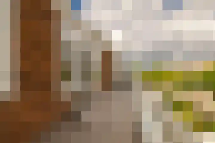 Orionweg 56 Haarlem thumbnail 31