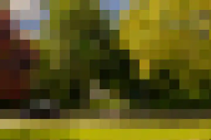 Orionweg 56 Haarlem thumbnail 47