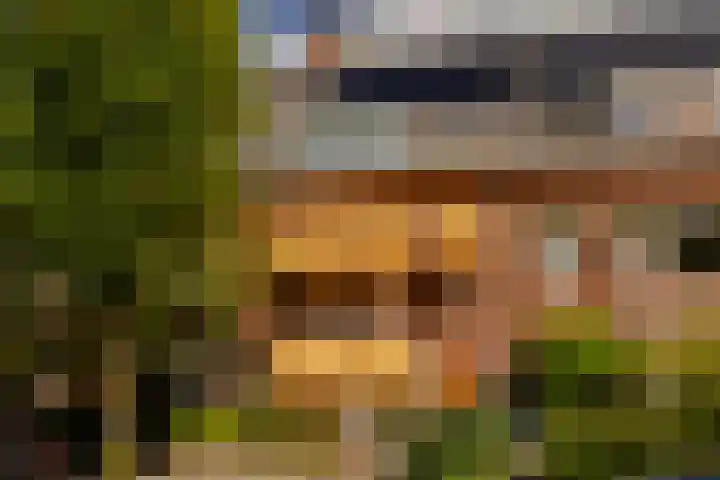 Orionweg 56 Haarlem thumbnail 5