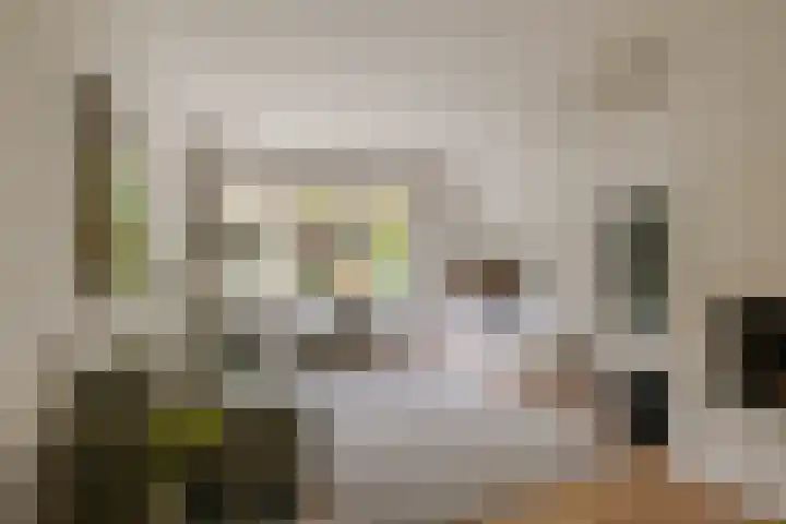 Orionweg 56 Haarlem thumbnail 9