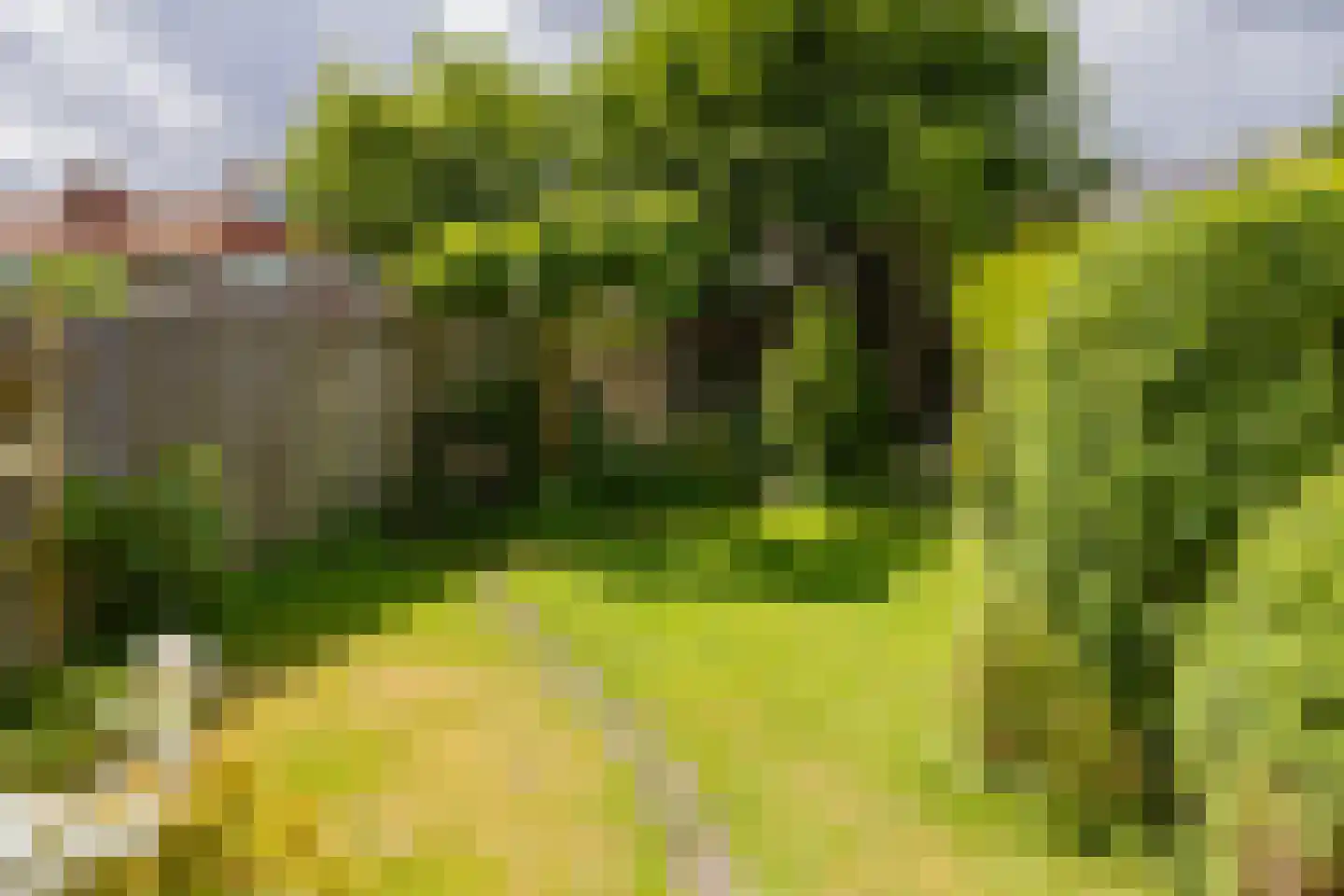 Orionweg 67 Haarlem thumbnail 20