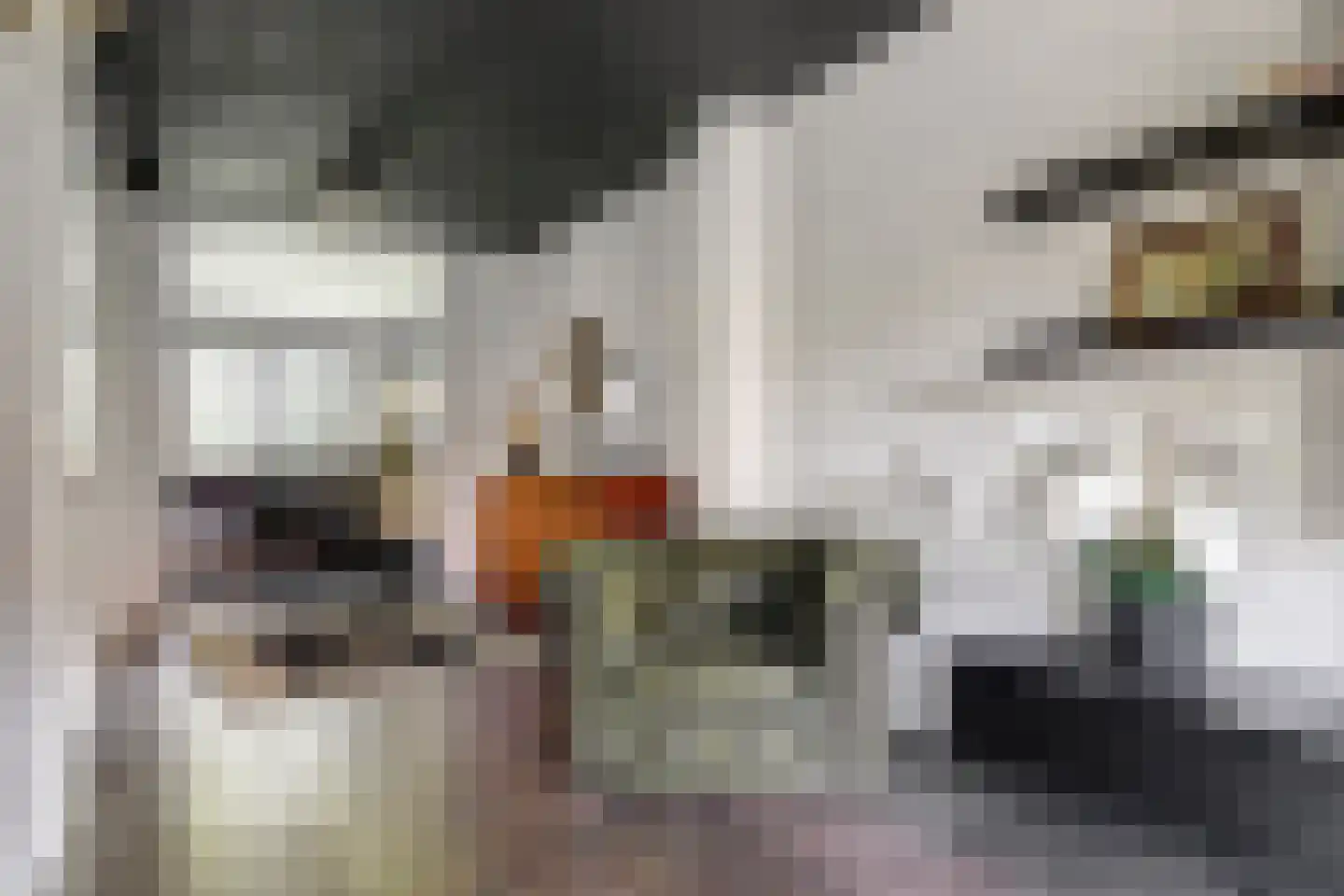 Orisantstraat 9 Wissenkerke thumbnail 10