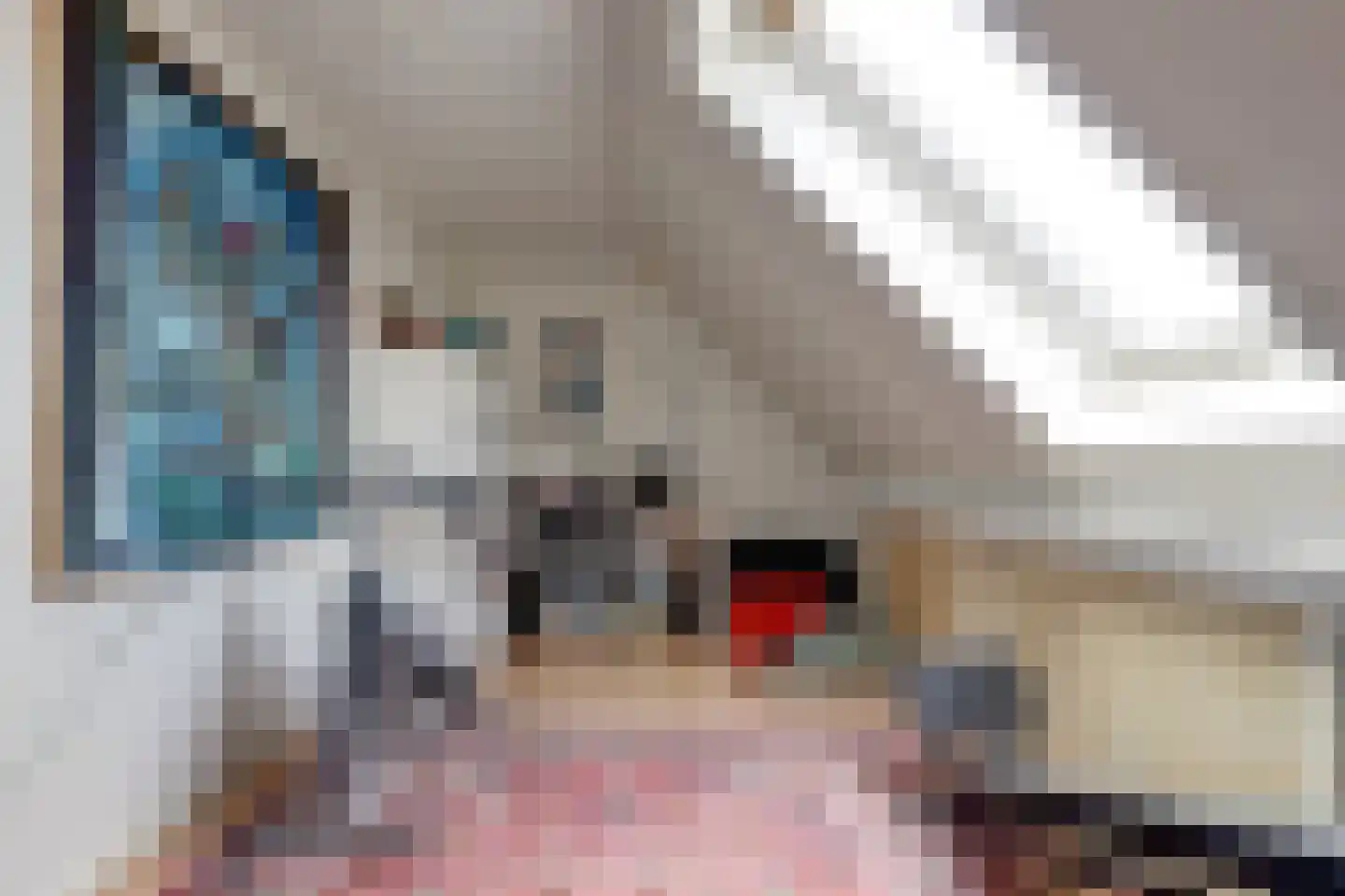 Orisantstraat 9 Wissenkerke thumbnail 24