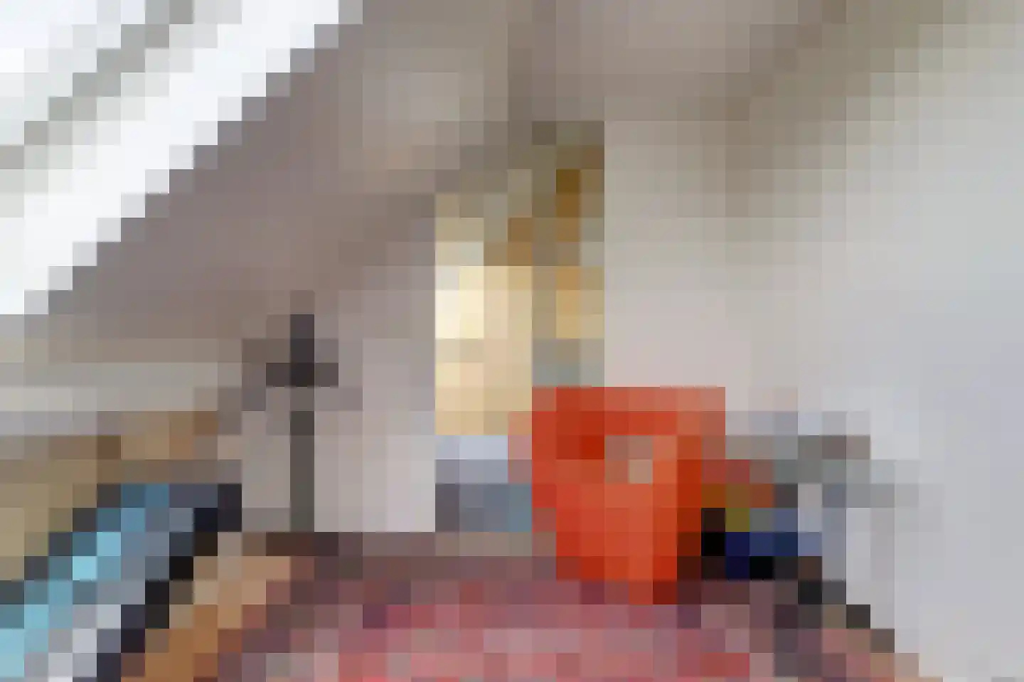 Orisantstraat 9 Wissenkerke thumbnail 25