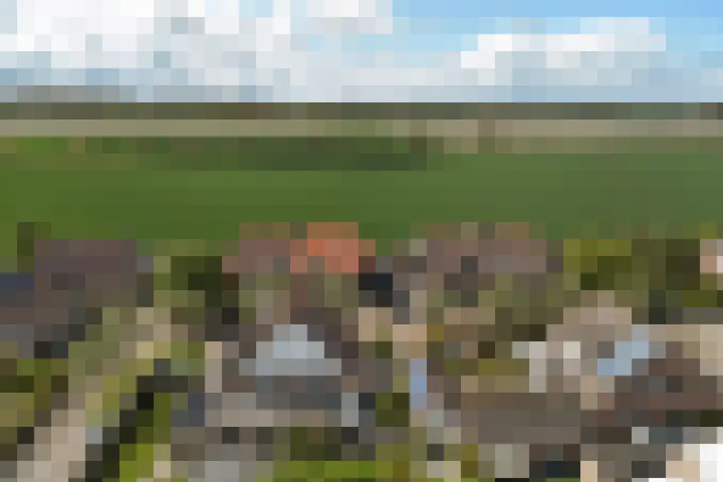Orisantstraat 9 Wissenkerke thumbnail 38