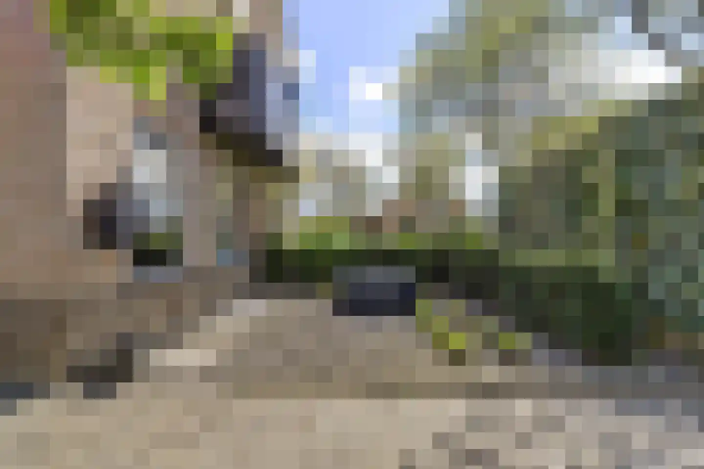 Orisantstraat 9 Wissenkerke thumbnail 5