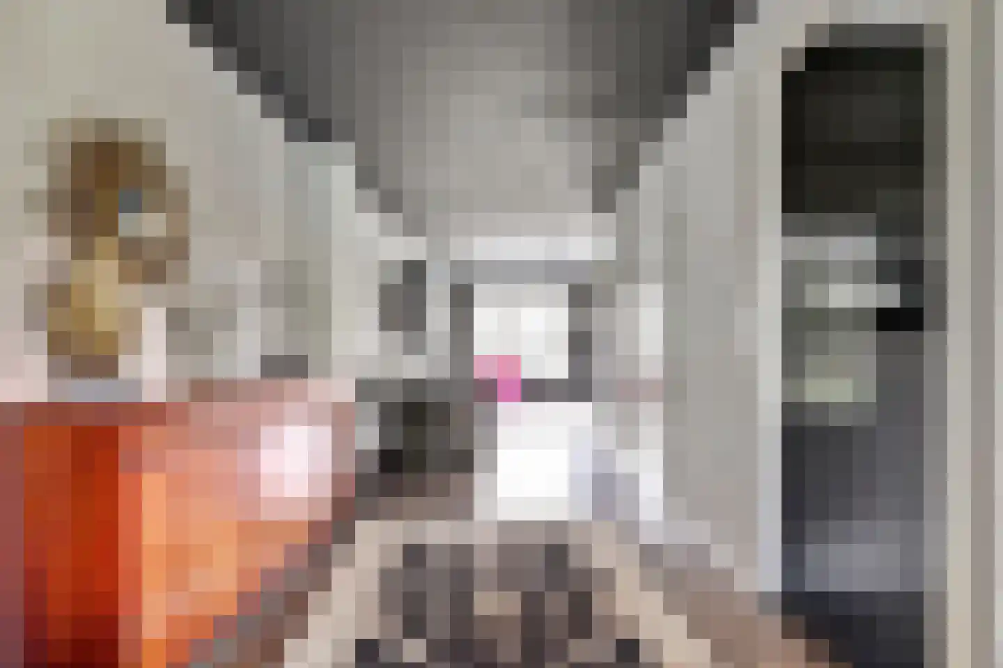Orisantstraat 9 Wissenkerke thumbnail 7