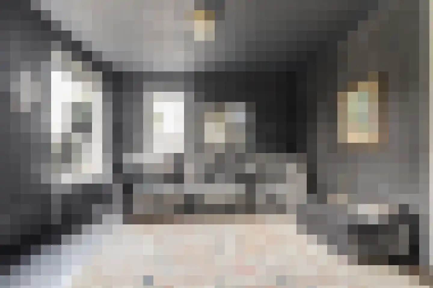 Orisantstraat 9 Wissenkerke thumbnail 9
