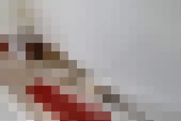 Orkaden 28 Amersfoort thumbnail 21