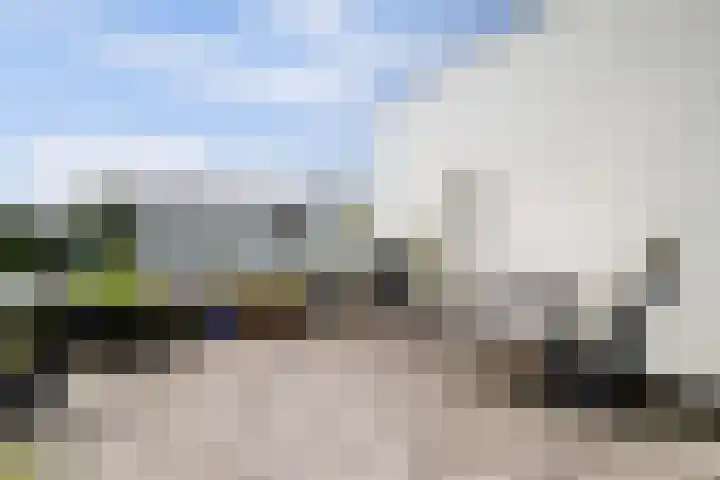Orkaden 28 Amersfoort thumbnail 24