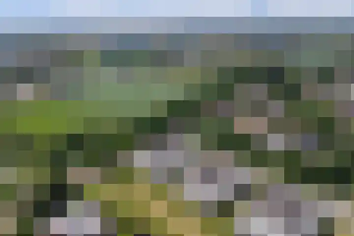 Orkaden 28 Amersfoort thumbnail 27