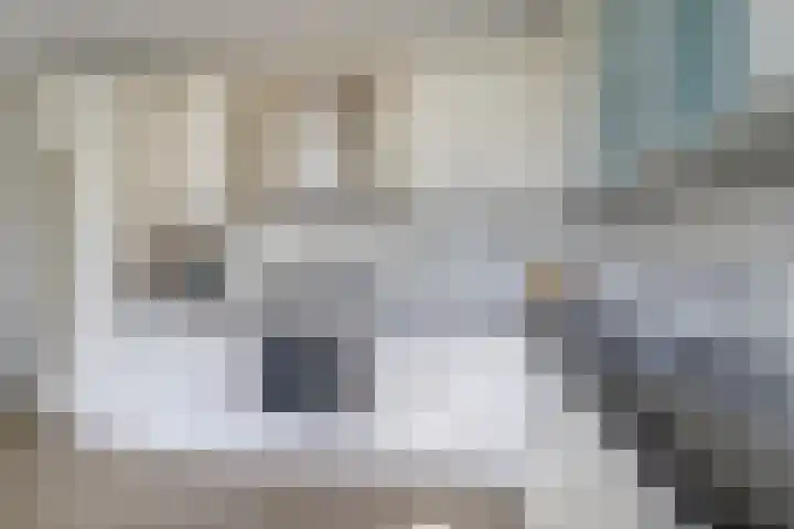 Orkaden 28 Amersfoort thumbnail 8