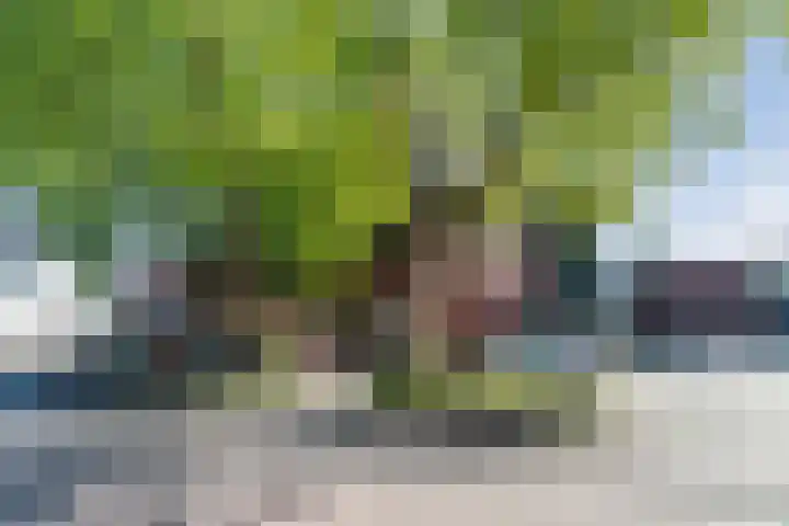 Orkaden 64 Amersfoort thumbnail 29