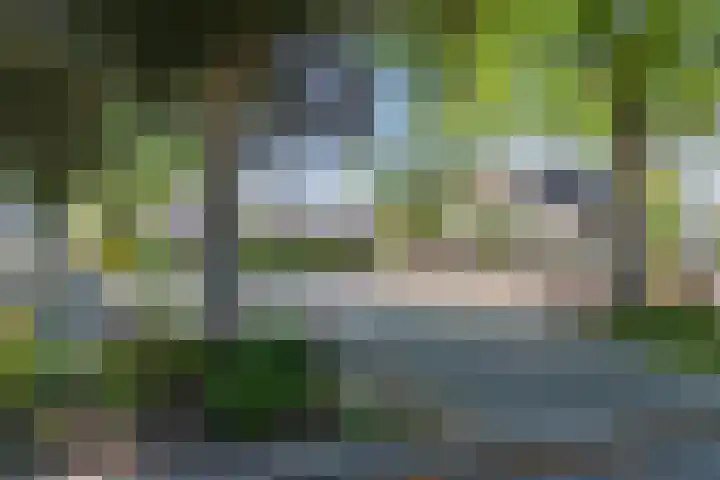 Orkaden 64 Amersfoort thumbnail 31