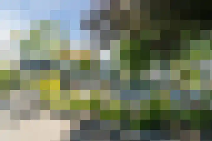 Orkaden 64 Amersfoort thumbnail 32