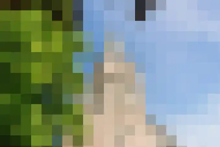 Orkaden 64 Amersfoort thumbnail 33