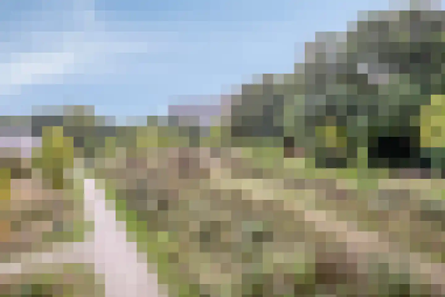 Orkest 10 Oss thumbnail 40