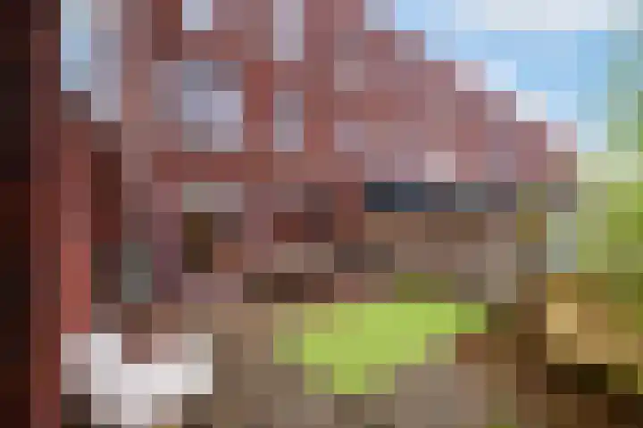 Orkest 2 Oss thumbnail 4
